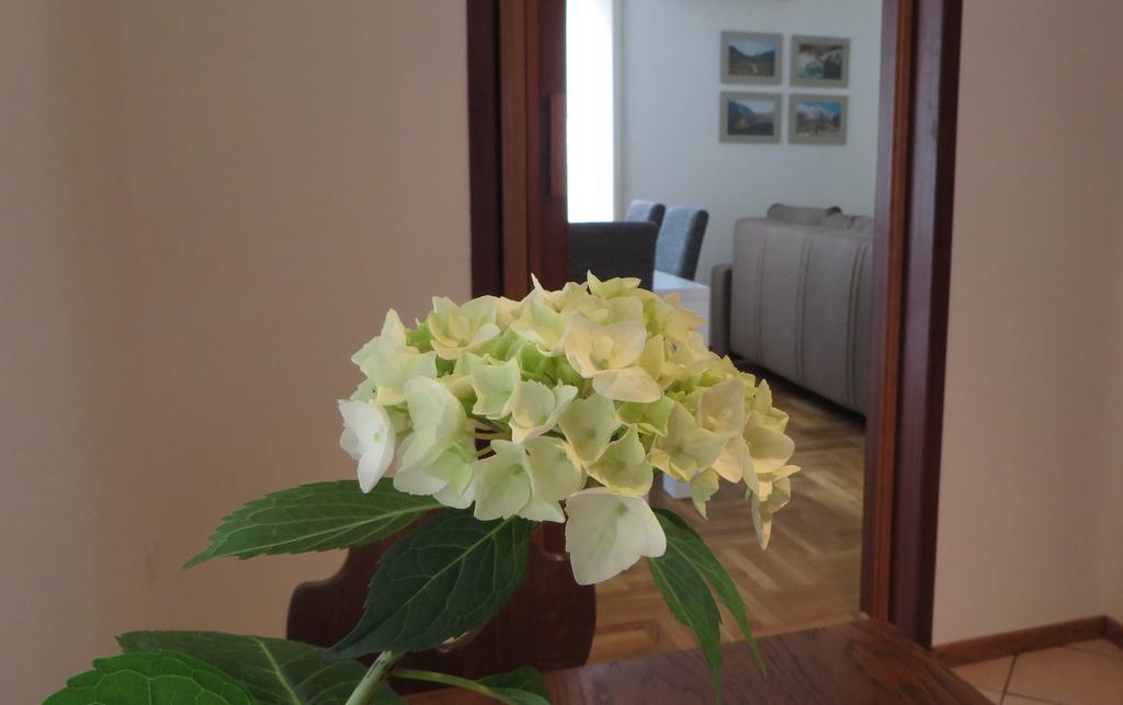 Hisa Lescer Apartment Kobarid Exterior foto